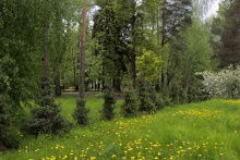 Парк им. Зернова - 31.jpg